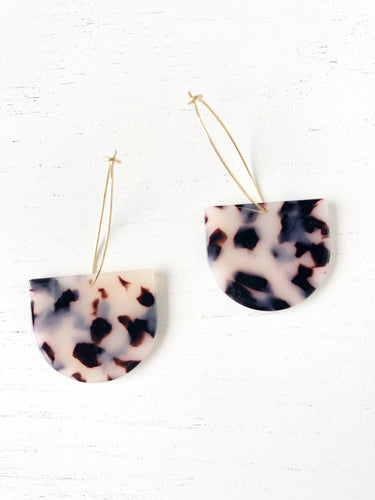 The Modern Grey Tortoise